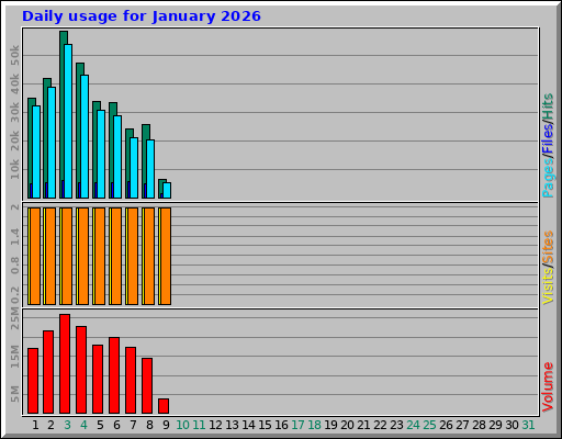 Daily usage for January 2026